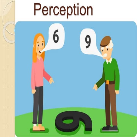 Presentation on Perception - Organisation Behavior