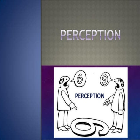 Unit 3 Cognitive Process / Perception