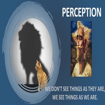 PERCEPTION