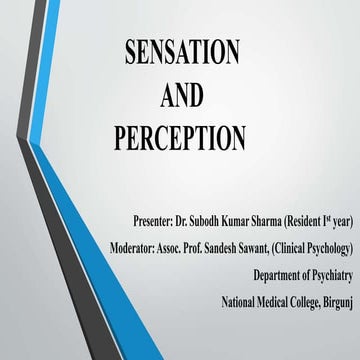  Senstation and Perception