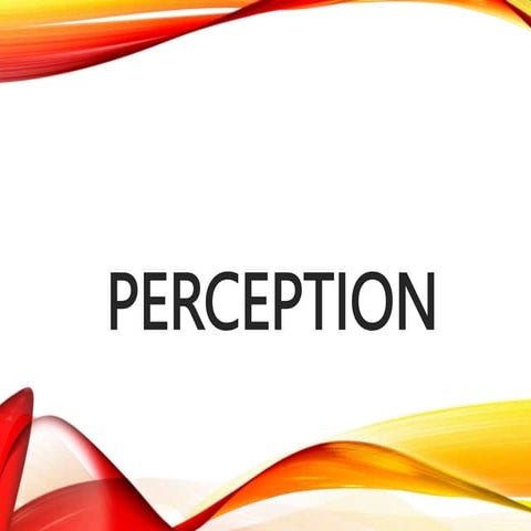 Perception.ppt