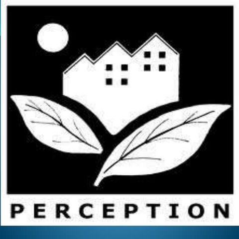 PERCEPTION IN OB