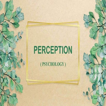 PERCEPTION.pptx