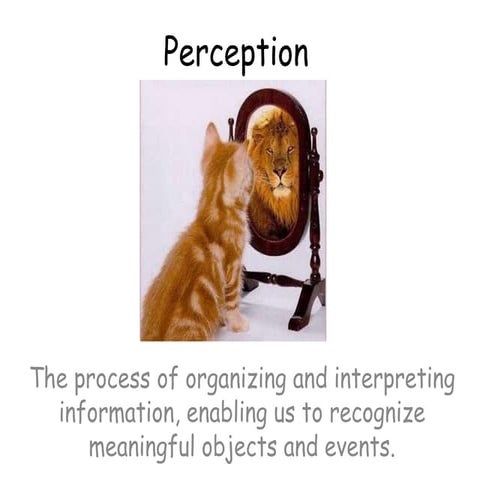 Perception presentation for behaviour towards