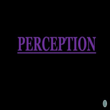 PERCEPTION BBA NOTES PDF   PRESENTATION.
