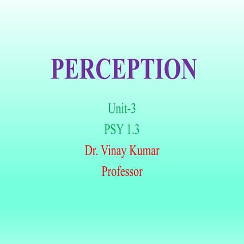 Perception- Psychology | PPTX