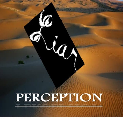 Perception  Amanpreet Makkar