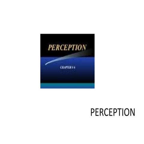 Perception mod.