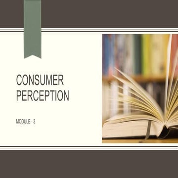 PERCEPTION- MODULE 3.ppt