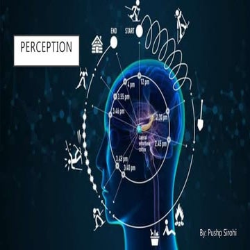 perception (b).pptx