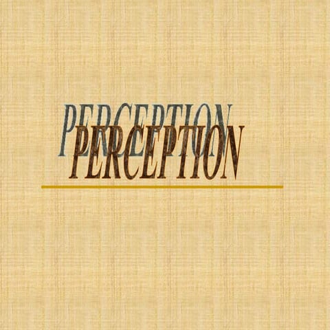 Perception   6 353[1]