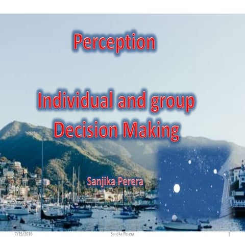 Perception and individual dicision making