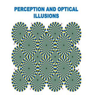 Perception and optical illusions