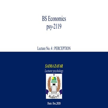 perception (b).pptx