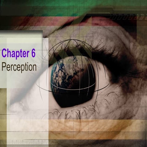 Perception Chp6