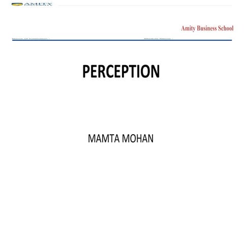 Perception Edited Version