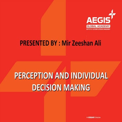 PERCEPTION AND INDIVIDUAL DECISION MAKING
