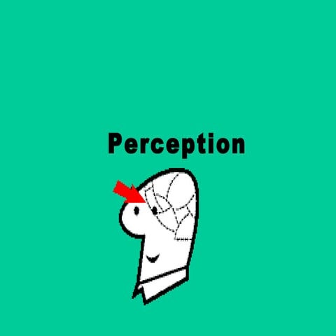 Perception ppt