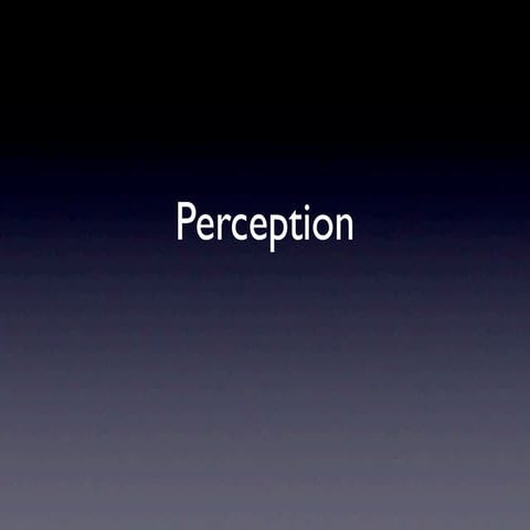 Perception Slides