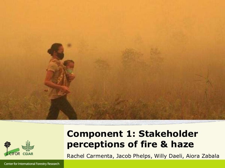 thumbnail of  Stakeholder perceptions of fire and haze: early results
