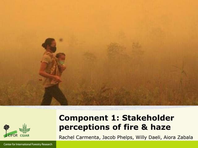 Stakeholder perceptions of fire and haze: early results 