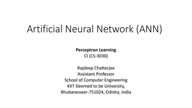 Artificial Neural Networks (ANN)