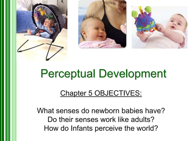 Physical development of infants and toddlerhood | PPTX