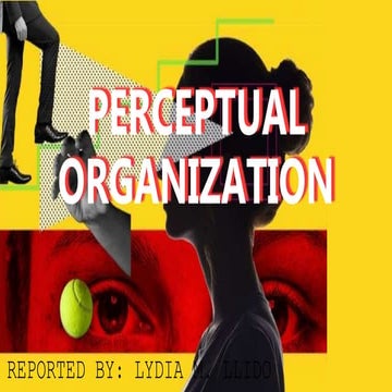 Perceptual organization & attribution