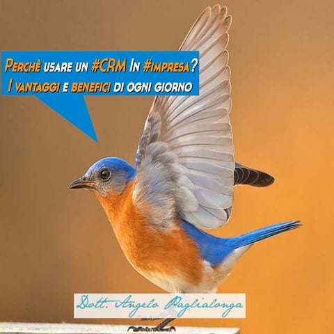 Perché usare un crm in impresa? i vantaggi e benefici di ogni giorno