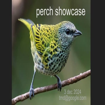 Acoustic AI in biodiversity monitoring - Tom Denton