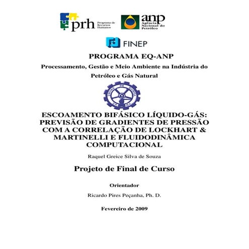 Perda de carga escoamento bifásico 1