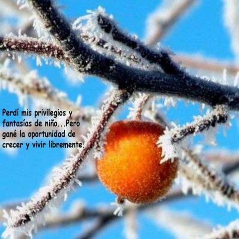 Perder y ganar._._._