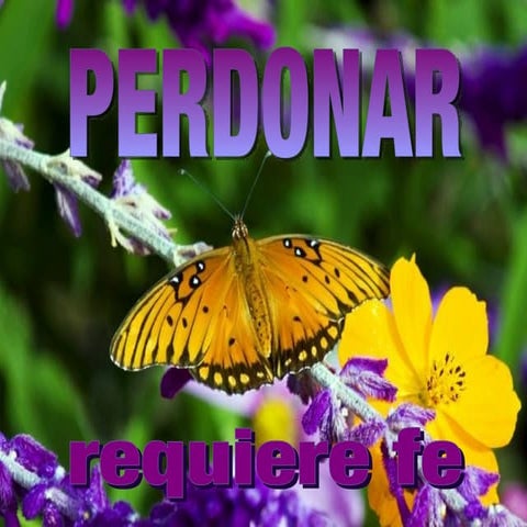Perdonar requiere Fe