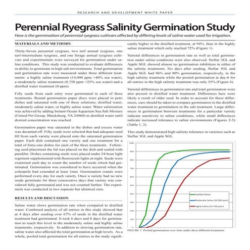 Perennial ryegrass salinity
