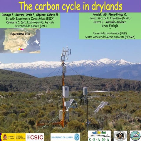 Perez priego bilbao2012