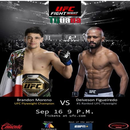 Sponsorship Proposal UFC-Caliente | PDF