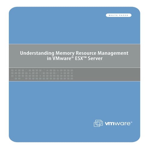 Perf vsphere-memory management