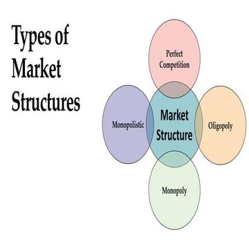 Perfect Competition.pptx