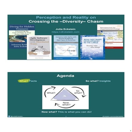 Perfection and Reality on Crossing the - Diversity- Chasm