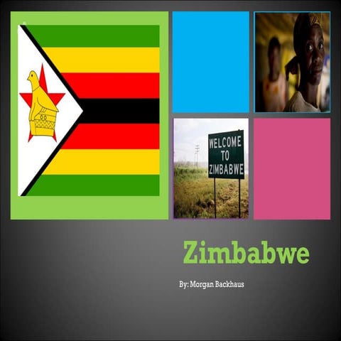 Perfect zimbabwe project