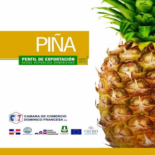 Cultivo de la piña exposicion | PPTX