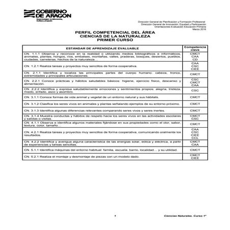 Perfil competencial por areas
