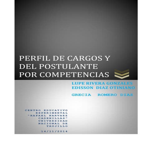 PERFIL DE CARGOS Y DEL POSTULANTE POR COMPETENCIAS 