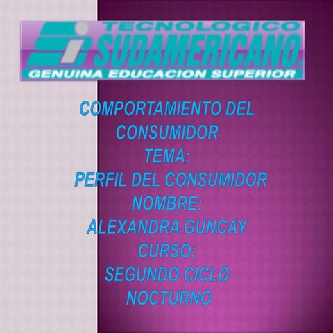 Perfil De Los Consumidores