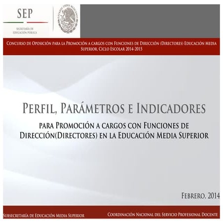 Perfil parametros indicadores_directivos | PPT