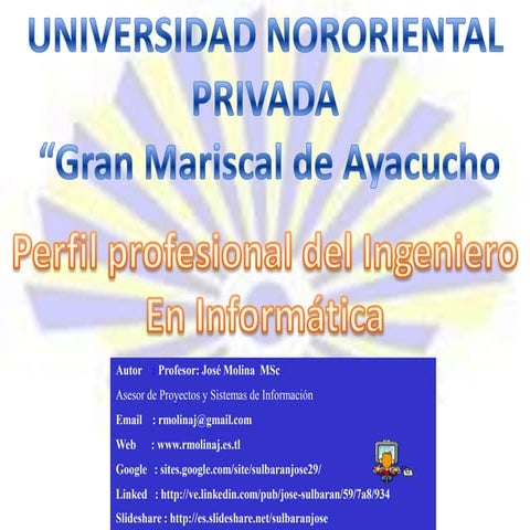 Perfil profesional del ingeniero en informatica