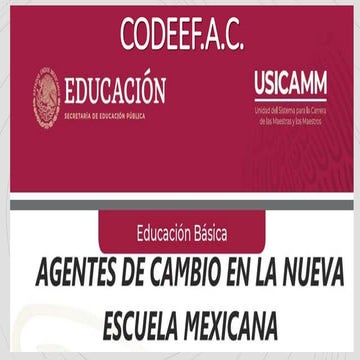 Perfil profesional para_docentes_ciclo_escolar_2020_2021_parametros e indicad...