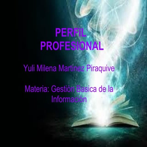 Perfil profesional yuli