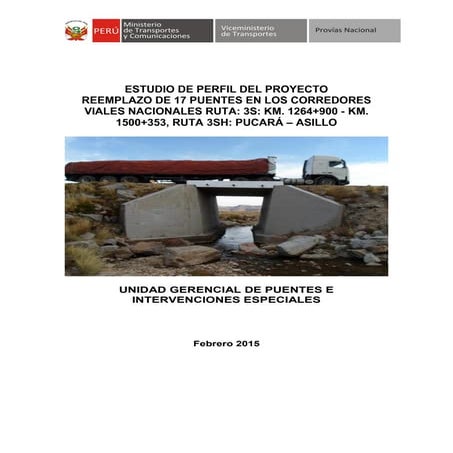 Perfil reemp puentes corredor vial nacional puno ii 