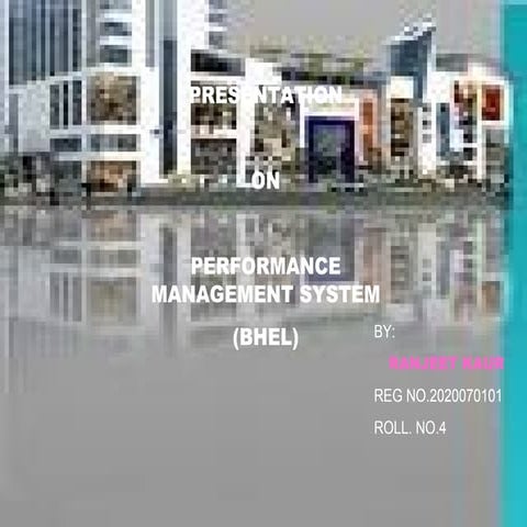 performance management system